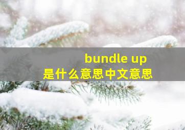 bundle up是什么意思中文意思